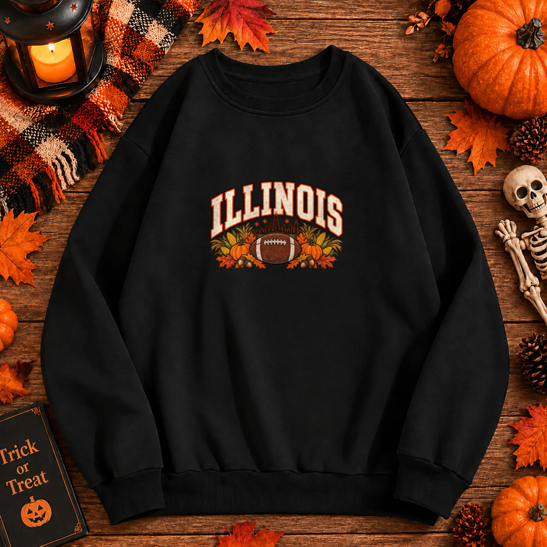 Illinois Game Day Crewneck in black — view 3